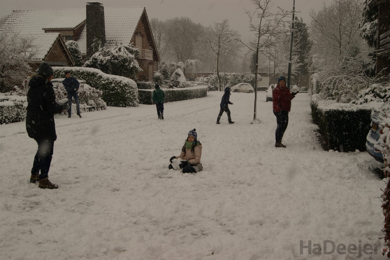 171210-PK-sneeuwval in Heeswijk-_01_.JPG